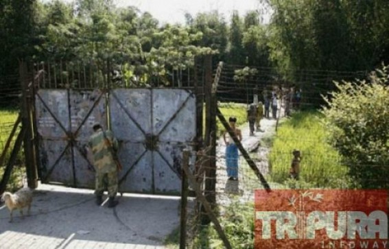 Theft cases hit border areas, question raised on the role on BSF Theft cases hit border areas, question raised on the role on BSF
